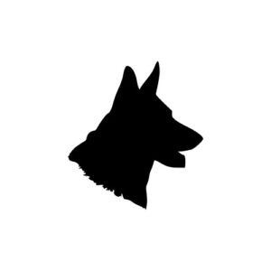 Alsatian german shepherd head 1
