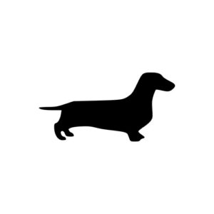 Dachshund Standing 1