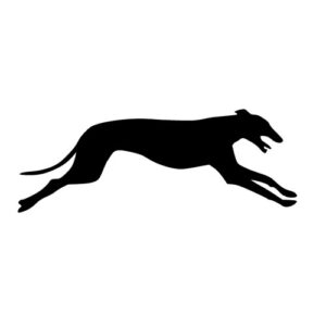 Greyhound Running 1 - Artist Craft Blank