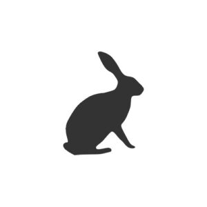 Hare 1