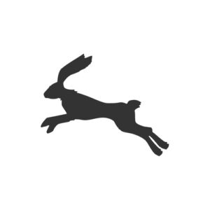 Hare leaping 1