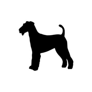 Terrier 1